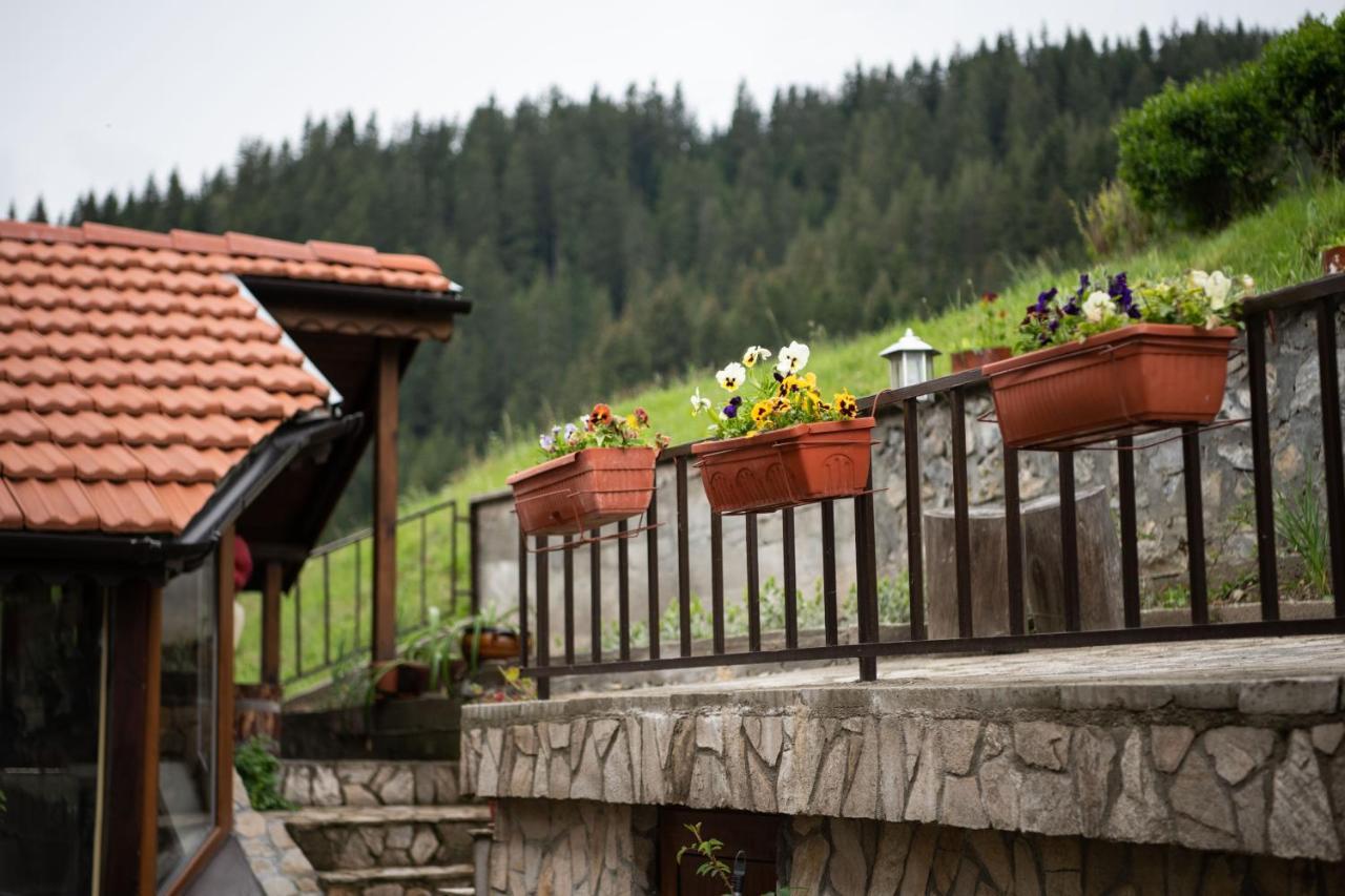 Guest House Rossy Trigrad Exterior photo
